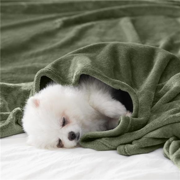 Fleece Blanket TwinSize Super Soft Flannel Throw Blanket Lightweight Fuzzy Plush - Picture 6 of 6